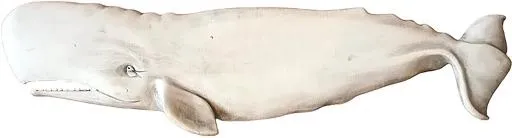 抹香鲸 PNG免抠(1548x420)