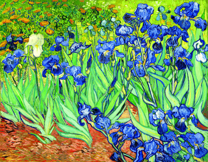 梵高鸢尾花高清油画