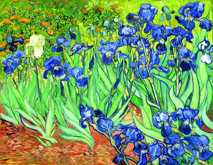 梵高鸢尾花高清油画