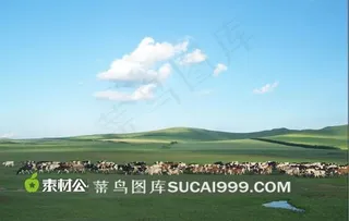 夕阳下美丽的大草原图片