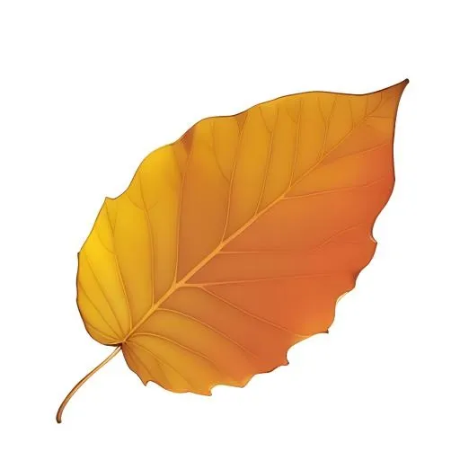 叶子树叶免抠(2048x2048)