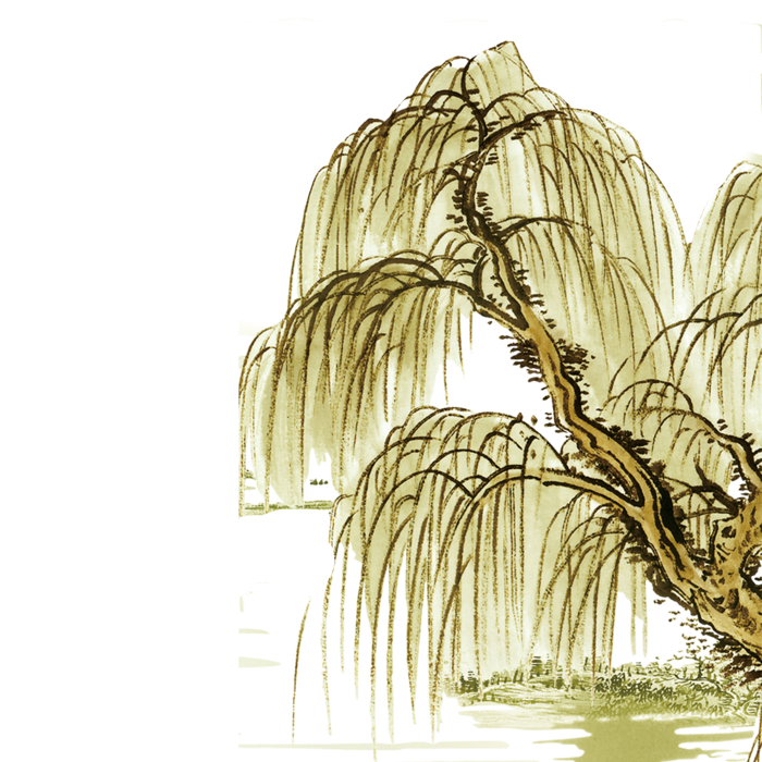 春天绿色春季水墨柳树柳条柳叶春季海报设计PNG免扣素材