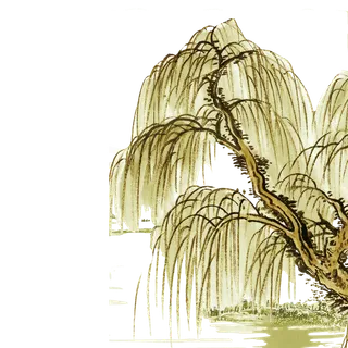 春天绿色春季水墨柳树柳条柳叶春季海报设计PNG免扣素材