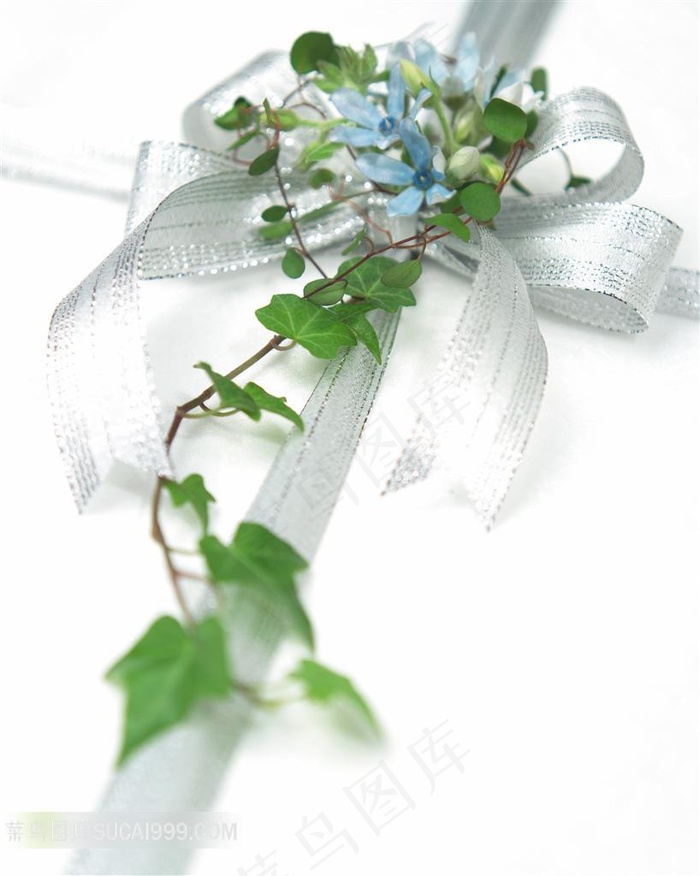 鲜花蝴蝶结图片