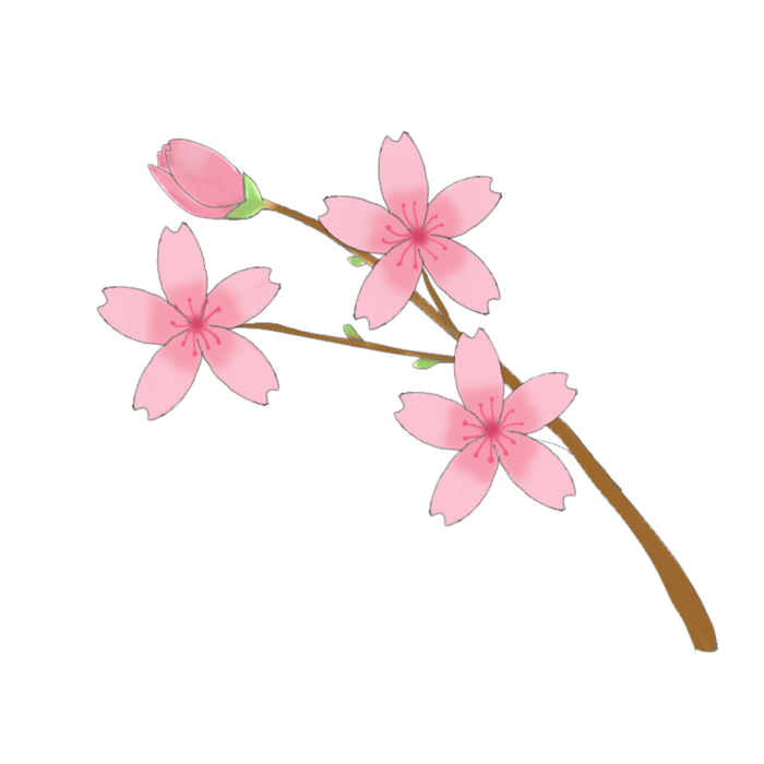 春天浪漫粉红色樱花手绘樱花梅花桃花花朵图片PNG免扣素材