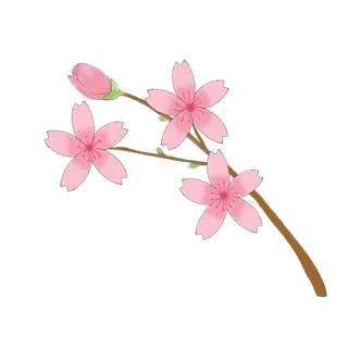 春天浪漫粉红色樱花手绘樱花梅花桃花花朵图片PNG免扣素材