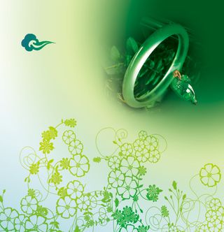 玉镯古典花纹产品册