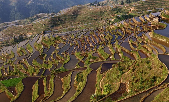 贵州加榜梯田风景高清图