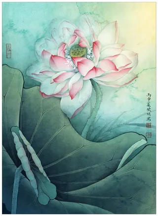 花娇欲语荷花国画