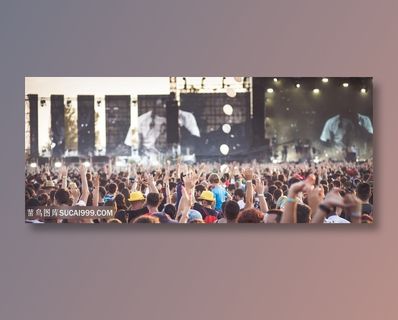 演唱会现场欢呼人群