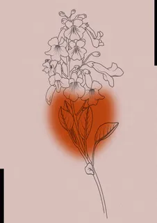 粉色简约泡桐背景图画册