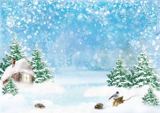 圣诞节蓝天白色风景背景墙