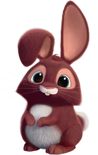 褐色兔子兔年