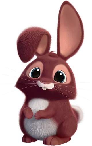 褐色兔子兔年