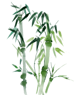 竹子水墨画中国风国画墨水书法竹子画