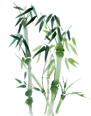 竹子水墨画中国风国画墨水书法竹子画