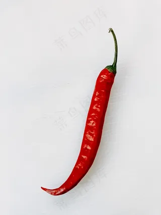 白底红椒素材图片