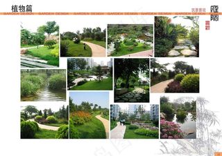 园林设计后期植物素材