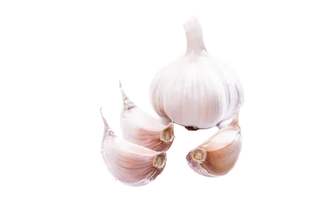 大蒜头 (8)超市商品白底图免抠实物摄影png格式图片透明底