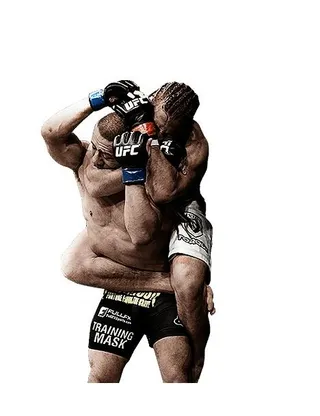 终极格斗冠军赛 PNG免抠