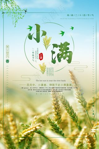 清新二十四节气小满节日海报