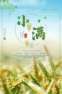 清新二十四节气小满节日海报 清新二十四节气小满节日海报