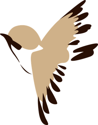 简约风手绘素描动画小鸟鸟儿免扣PNG图片素材 (82)