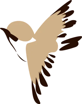 简约风手绘素描动画小鸟鸟儿免扣PNG图片素材 (82)