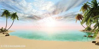 海滩上的椰子树景色高清图片
