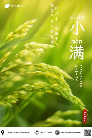 小满节气稻田稻穗小麦麦穗绿色小清新海报