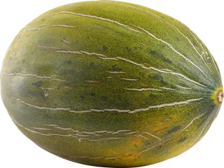 哈密瓜免抠素材 (22)