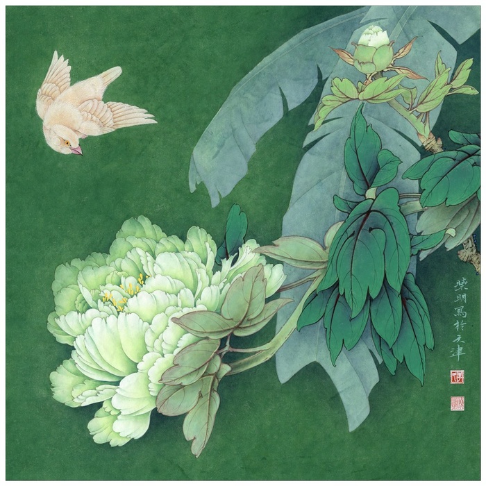 昆山夜光白芙蓉工笔画