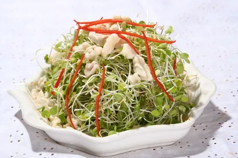 24 香椿仁拌桃苗-熟人美食 24 香椿仁拌桃苗-熟人美食