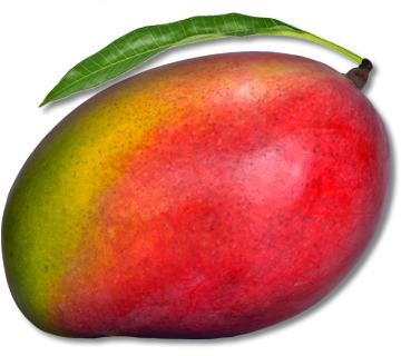 芒果 PNG免抠(360x320)