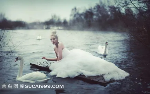 婚纱美女天鹅素材