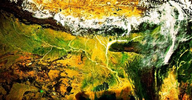 菠萝一样的人生