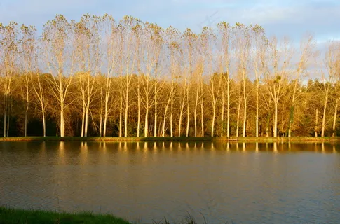 秋天湖泊风景图片