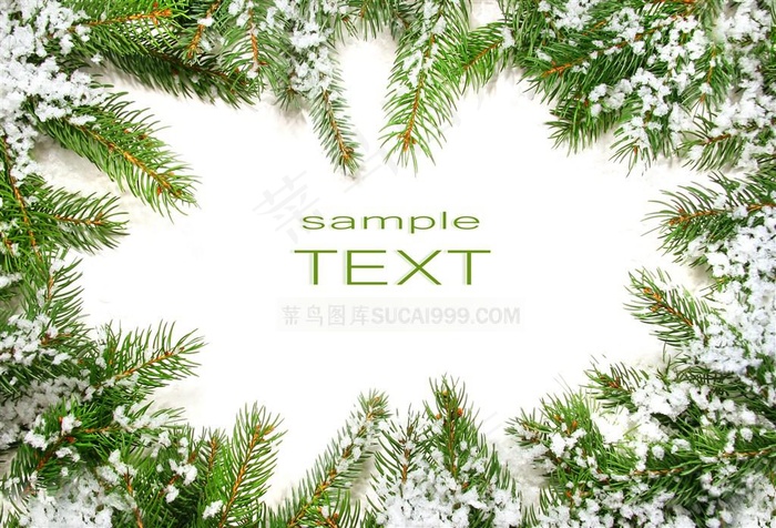 松针叶圣诞节卡片背景图