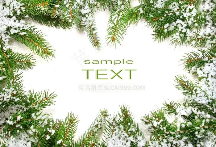 松针叶圣诞节卡片背景图