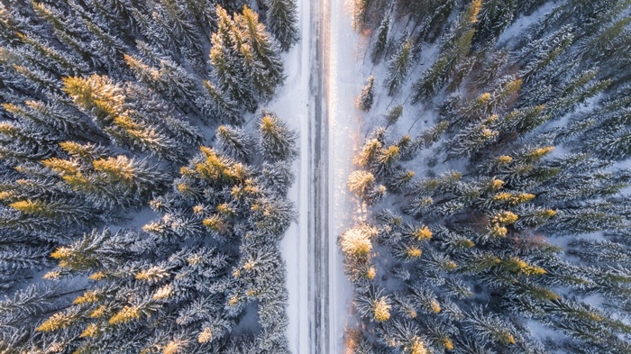 冬天白雪背景风景