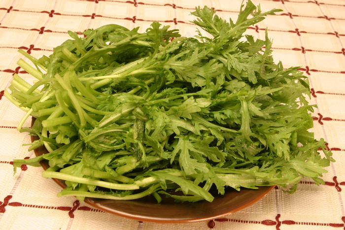  蒿子杆大
