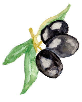 唯美森系手绘水彩花朵 免抠