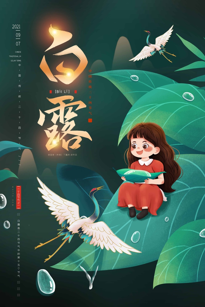 传统白露节气活动宣传海报