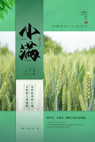 手绘24传统节气小满节日海报