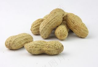 熟花生图片