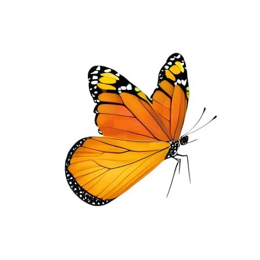 蝴蝶免抠(2048x2048)