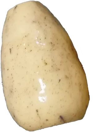 白花塘藕莲藕藕节藕段免抠摄影元素素材