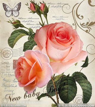 欧式花与蝴蝶装饰画