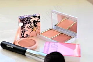 森林海绵蘑菇图片