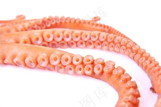 美味海鲜章鱼高清图片